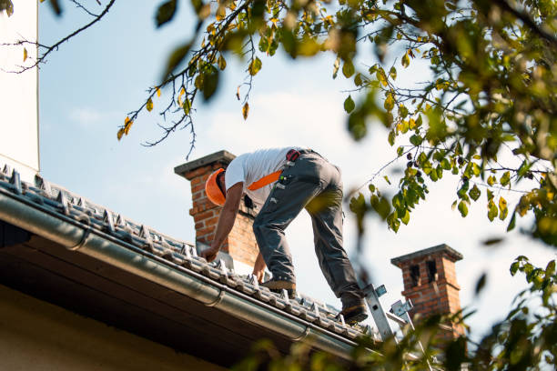 Best Roof Restoration Services  in Bunk Foss, WA