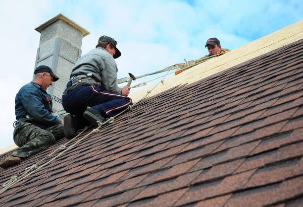 Best Roof Repair Services  in Bunk Foss, WA